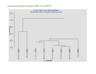 International Late Yellow Hybrid Trial - ILYH0704