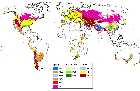 Global map of wheat mega-environments