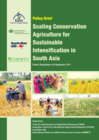 11.9-Policy report-SRFSI Project-ACIAR-CIMMYT