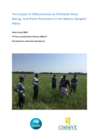 11.6-CASI Impact story-SRFSI Project-ACIAR-CIMMYT