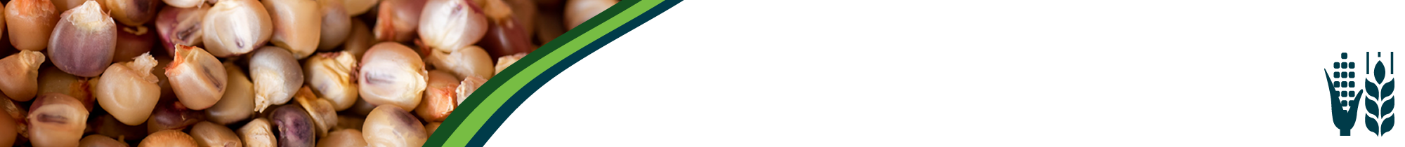 CIMMYT Research Data & Software Repository Network logo