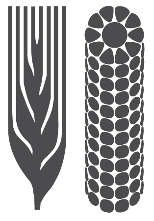Conservation agriculture (CA) technologies in maize-based farming systems of Zimbabwe  logo