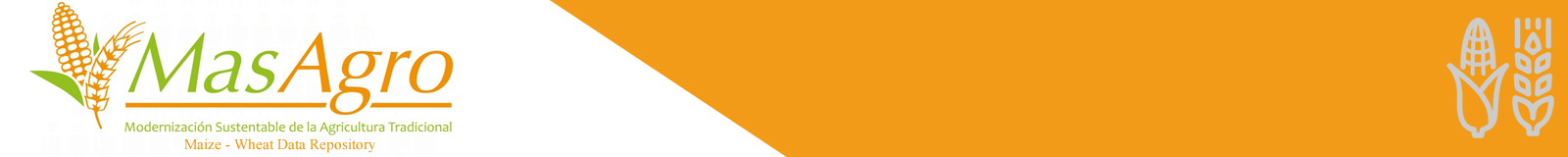 CIMMYT Seeds of Discovery logo